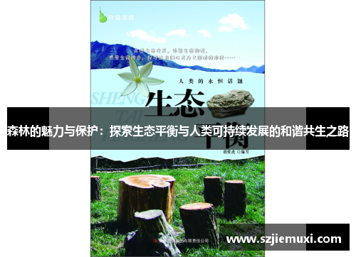 森林的魅力与保护：探索生态平衡与人类可持续发展的和谐共生之路